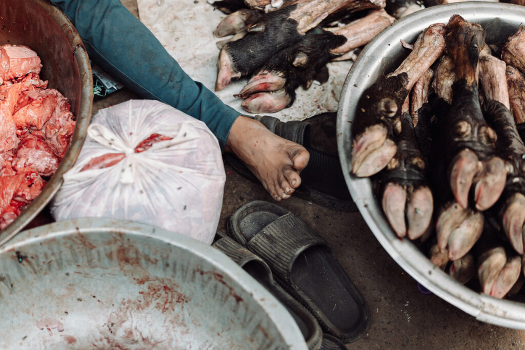 Julita Kępińska Julita Kępińska