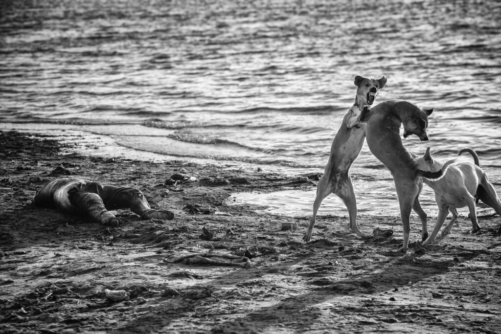 Waranasi – Małgorzata Wakuluk Waranasi - Małgorzata Wakuluk