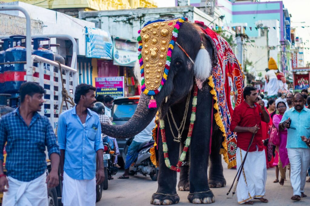 Parkkadi Pooram