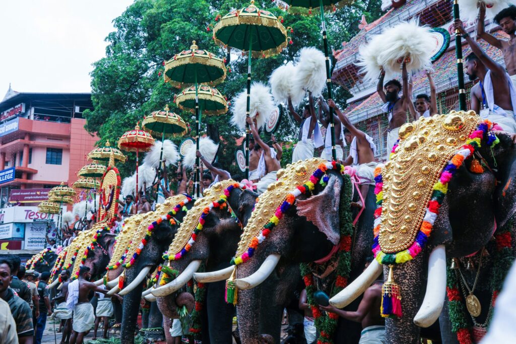 Parkkadi Pooram