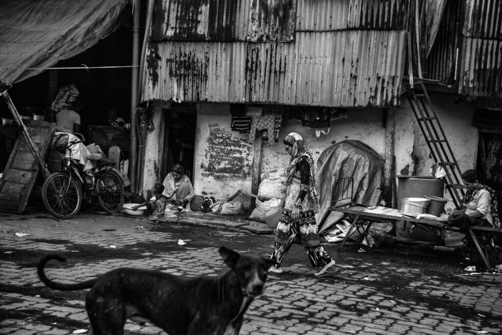 Mumbaj - Małgorzata Wakuluk