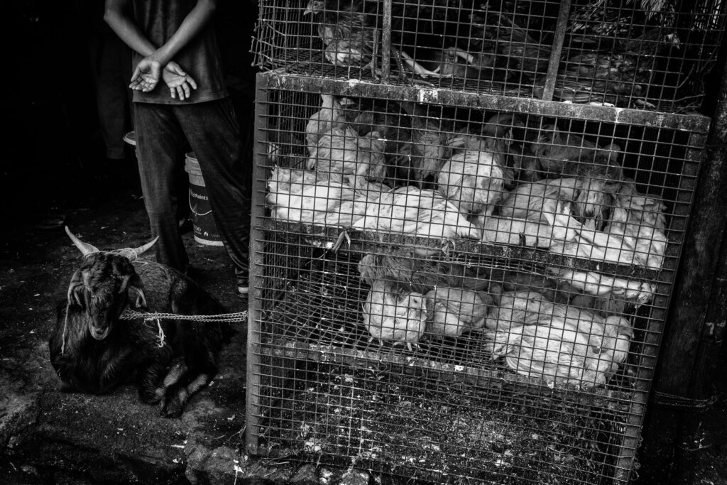 Mumbaj - Małgorzata Wakuluk