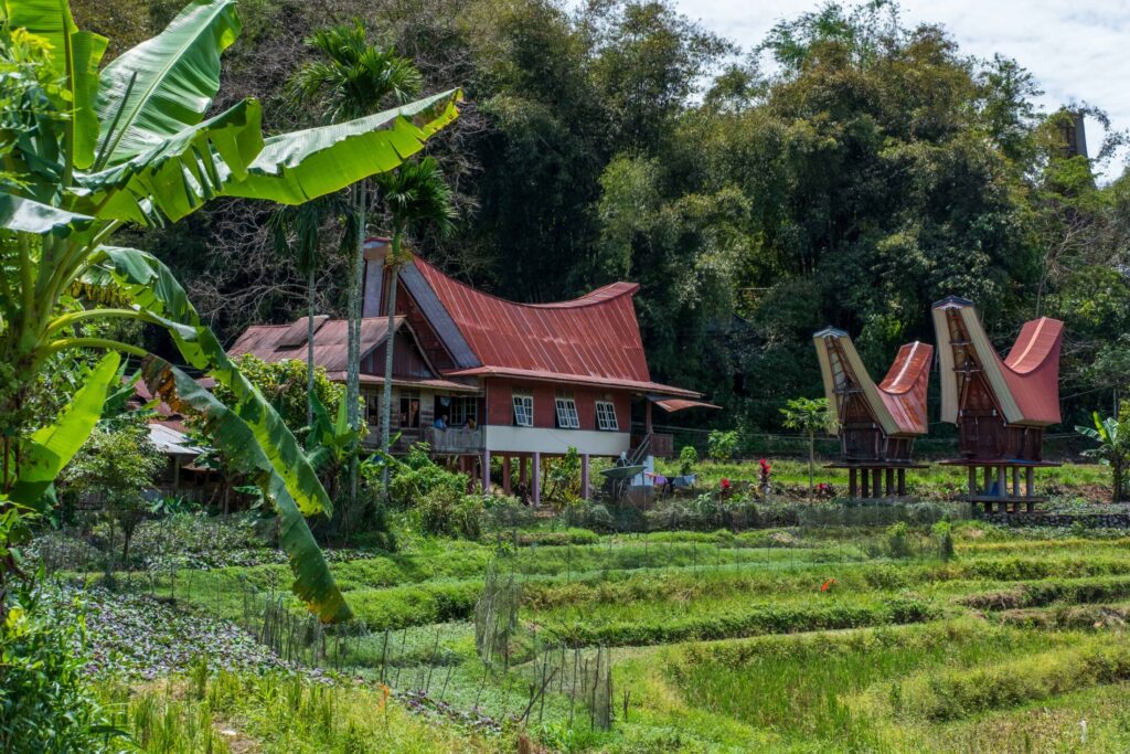 Tana Toraja - Natalia Umiastowska