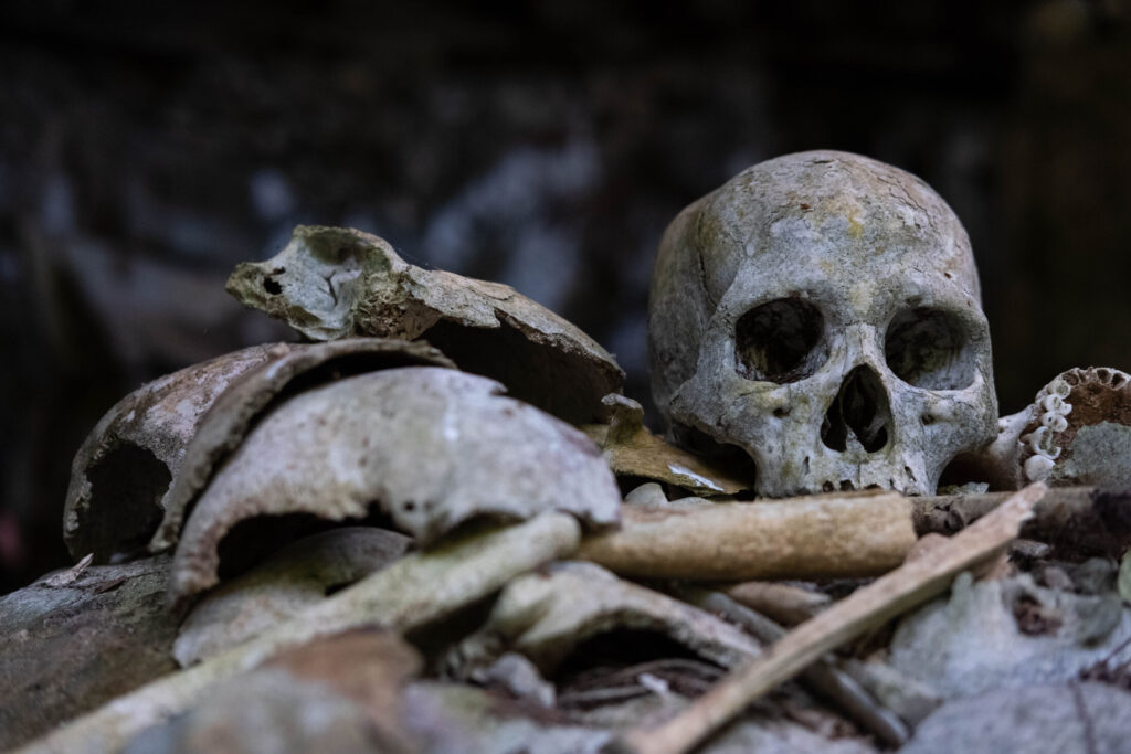 Tana Toraja - Natalia Umiastowska