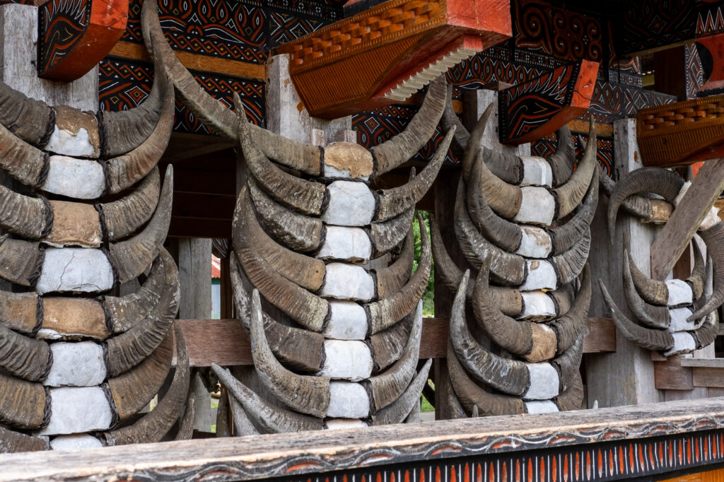 Tana Toraja - Natalia Umiastowska